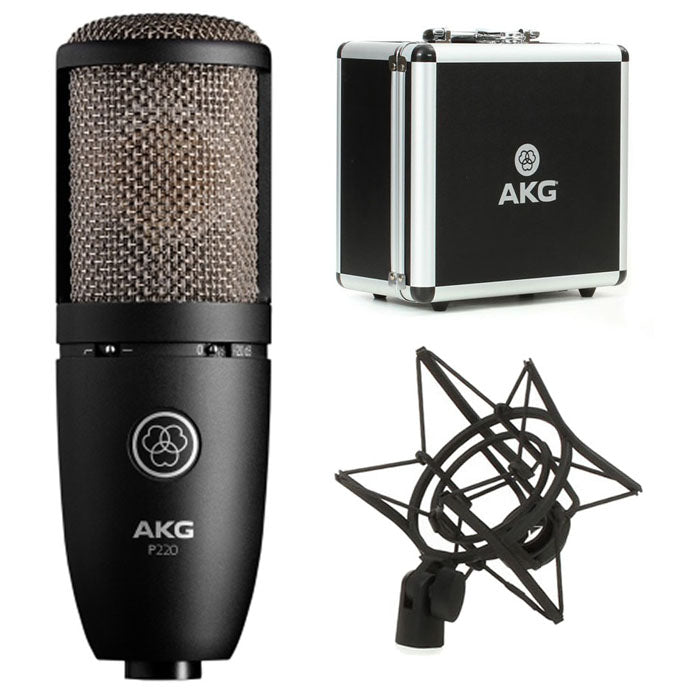 AKG P220 - Large Diaphragm Condenser Microphone – Station Vibration