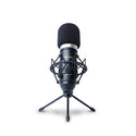 Marantz Professional MPM-1000 - Large Diaphragm Condenser Microphone